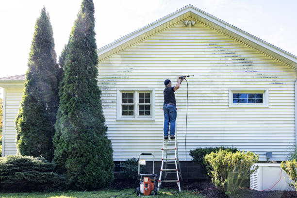 Best Gutter Cleaning  in Muskegon, MI